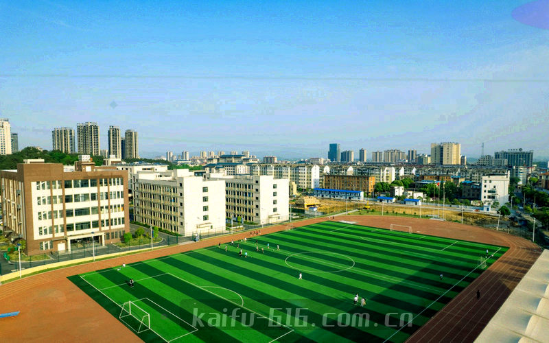 开服提醒、版本对照、配置筛选与历史回看四项会员权益的线性图标组合